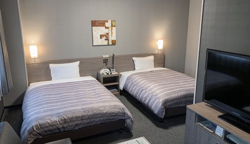 Habitación Deluxe con 2 camas individuales, no fumadores