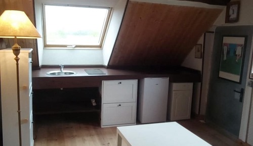 Habitación básica, 1 cama doble, cocina básica
