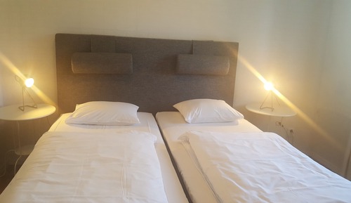 Habitación Deluxe con 2 camas individuales