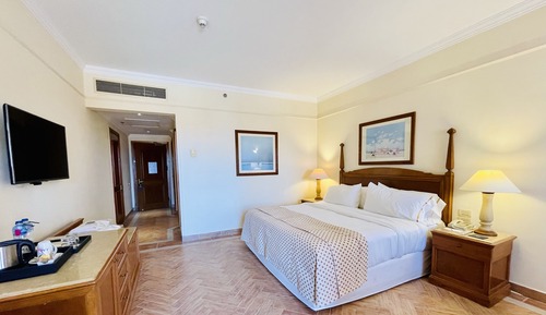 Habitación Deluxe con 1 cama doble o 2 individuales