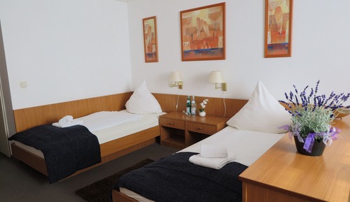 Habitación con 1 cama doble o 2 individuales