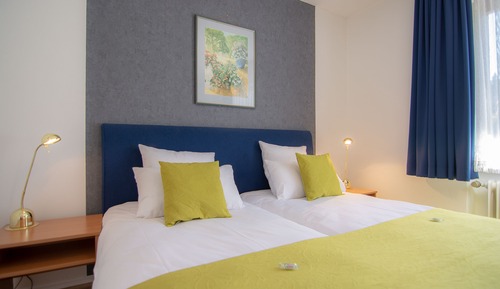 Habitación estándar con 1 cama doble o 2 individuales