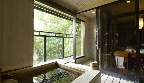 Suite (Halfboard, Check-In 3pm-6pm)