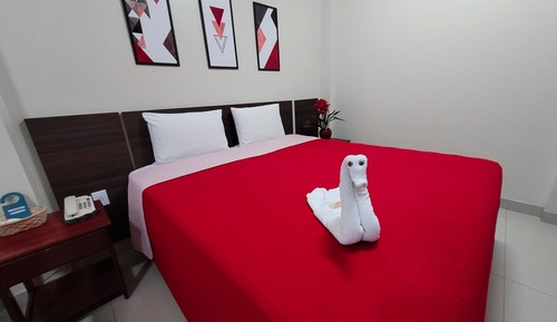 Habitación individual ejecutiva