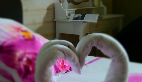 Habitación doble, 1 cama de matrimonio (Orchidée)