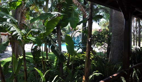 Habitación doble, vistas al jardín