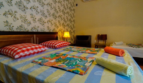Habitación Deluxe con 2 camas individuales