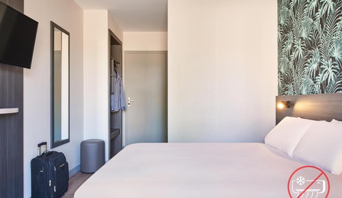 Habitación estándar, 1 cama doble