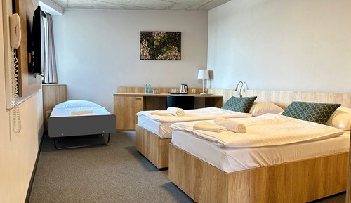 Habitación triple estándar