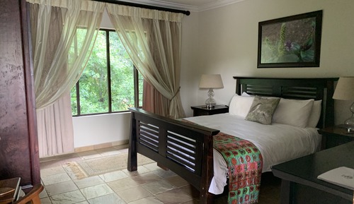 Habitación estándar con 1 cama doble o 2 individuales