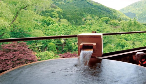 Habitación tradicional, no fumadores (Japanese Style Twin Hot Spring 316)