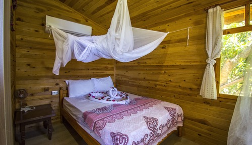 Habitación estándar con 2 camas individuales, 1 habitación