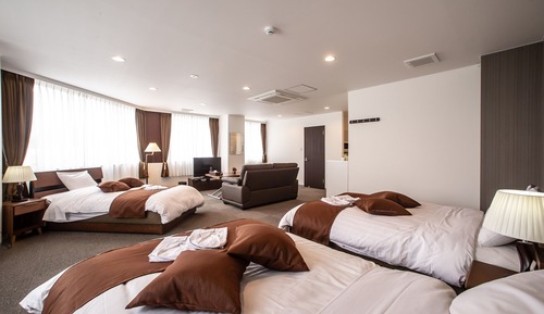 Habitación Deluxe (Large, 501)