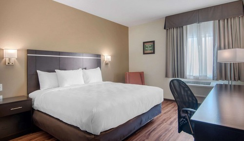 Habitación estándar, 1 cama de matrimonio grande, no fumadores