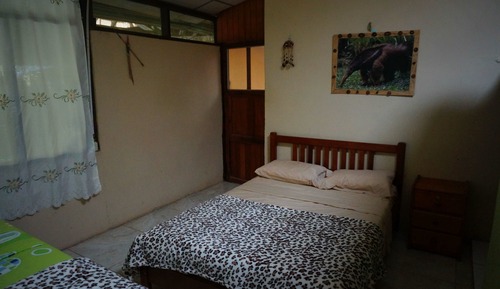 Habitación individual estándar, 1 cama individual, baño privado