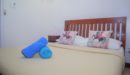 Habitación doble, vistas al jardín
