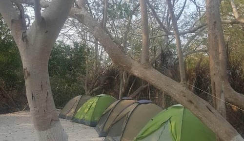 Camping - Tent Only