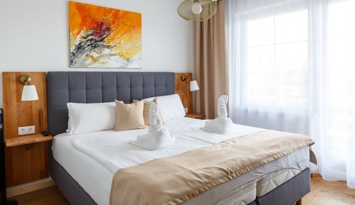 Habitación básica doble, no fumadores, vistas parciales al lago