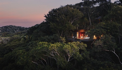 Casa en un árbol