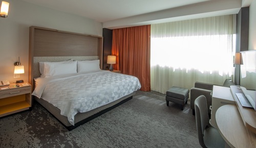 Habitación estándar, 1 cama de matrimonio grande, accesible para personas con discapacidad