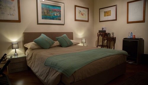 Habitación estándar doble, 1 cama de matrimonio, baño compartido (205)