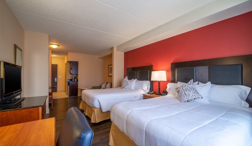 Suite Deluxe, 2 camas de matrimonio, no fumadores, microondas