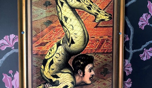 Habitación (The Acrobat's)