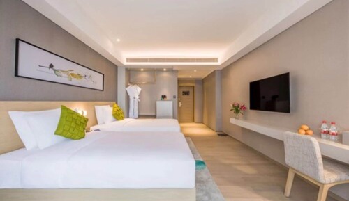 Habitación ejecutiva con 2 camas individuales
