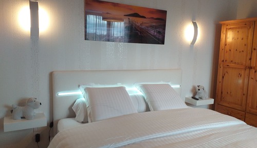 Habitación doble, 1 cama de matrimonio grande