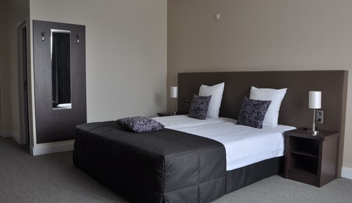 Habitación Confort doble, 2 camas individuales, no fumadores, vistas al jardín