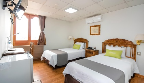 Habitación estándar con 2 camas individuales