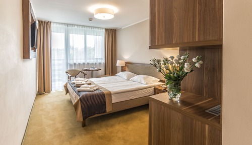 Habitación estándar, 1 cama de matrimonio, no fumadores