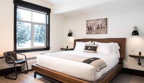 Habitación básica, 1 cama de matrimonio grande