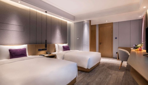 Habitación ejecutiva, 2 camas individuales
