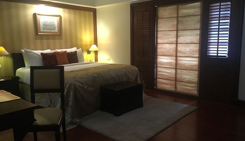 Suite estándar, 1 cama de matrimonio grande (One Bedroom Studio Suite)
