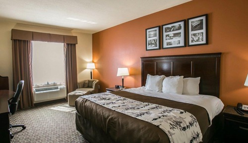 Habitación estándar, 1 cama de matrimonio grande, no fumadores