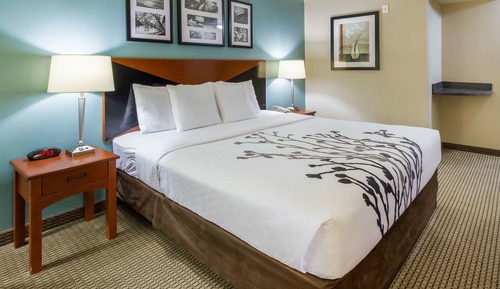 Habitación estándar, 1 cama de matrimonio grande