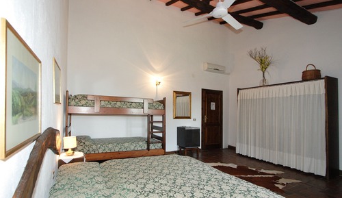 Habitación cuádruple familiar