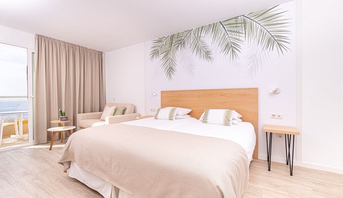 Estudio estándar (1 adult + 1 child)