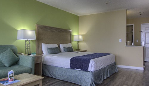 Ocean View, Standard 1 King Bed