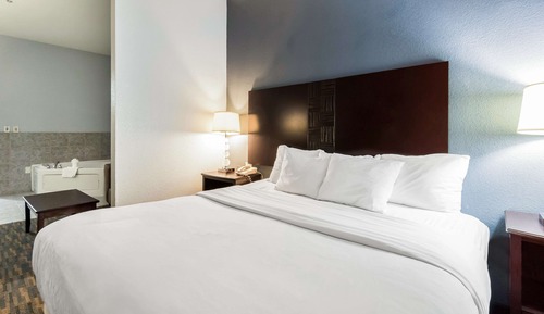 Habitación estándar, 1 cama de matrimonio grande, accesible para personas con discapacidad