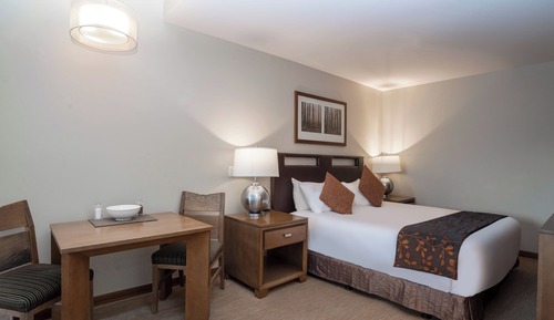 Suite estudio Premium, 1 cama de matrimonio grande con sofá cama