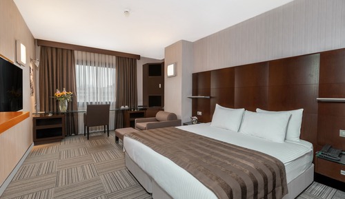 Executive Room with Lounge Access