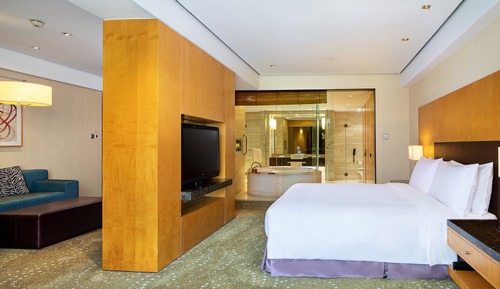 Suite junior, 1 cama de matrimonio grande (Audio Visual)