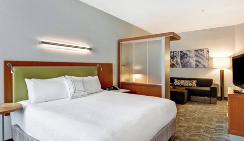 Estudio, 1 cama de matrimonio grande con sofá cama (Mobility Accessible, Roll-In Shower)