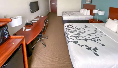 Habitación estándar, 2 camas de matrimonio