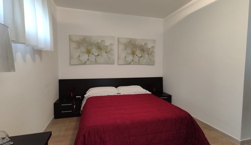 Habitación económica con 1 cama doble o 2 individuales