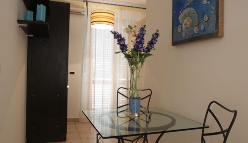 Estudio, varias camas, cocina básica