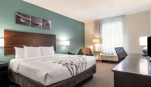 Habitación, 1 cama de matrimonio grande, accesible para personas con discapacidad, no fumadores