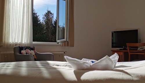 Habitación clásica doble